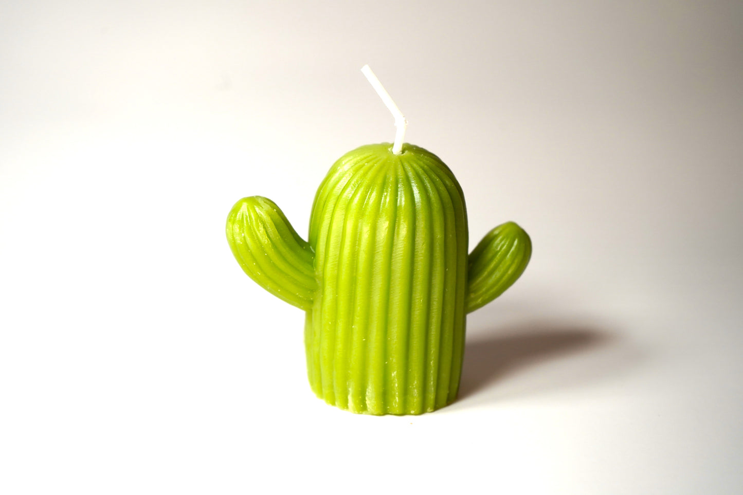 Cactus Candle