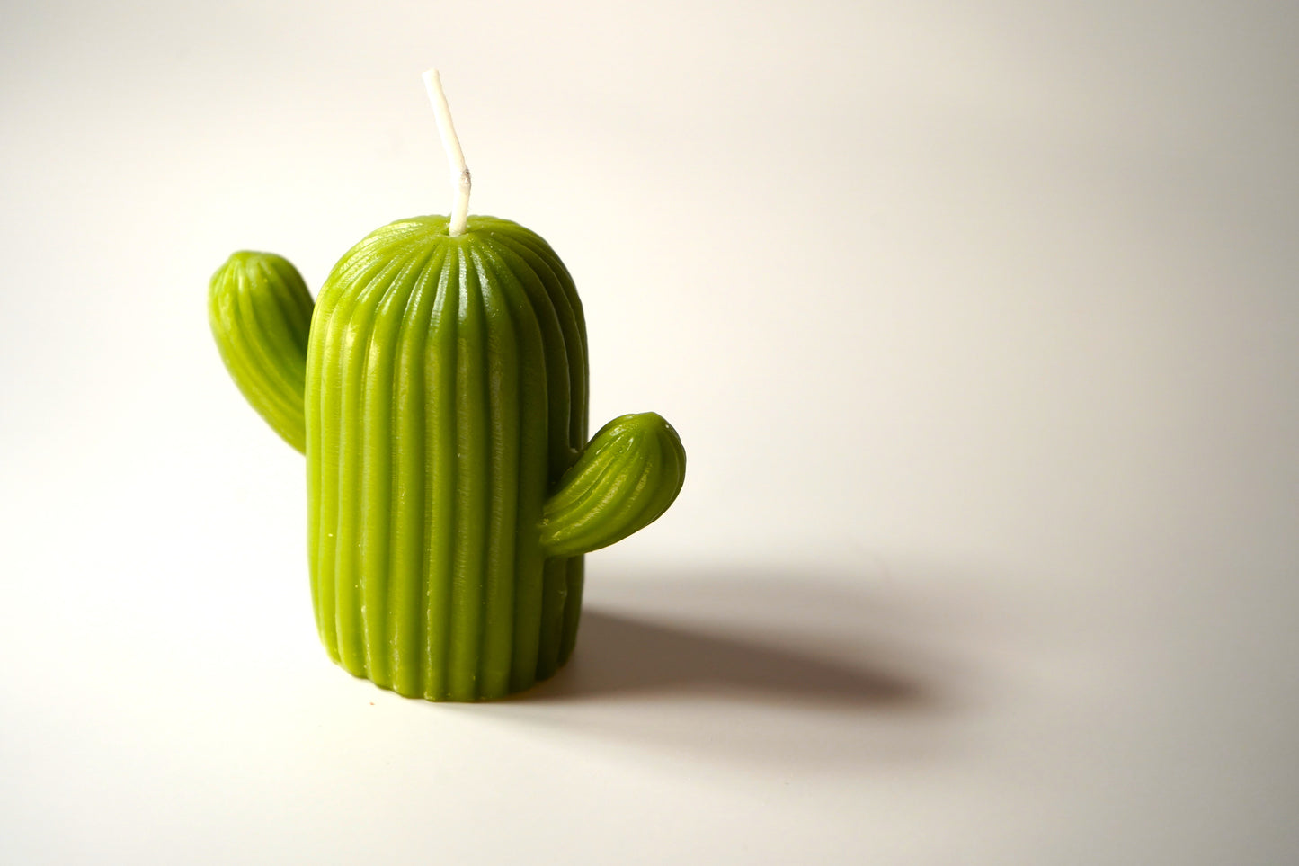 Cactus Candle