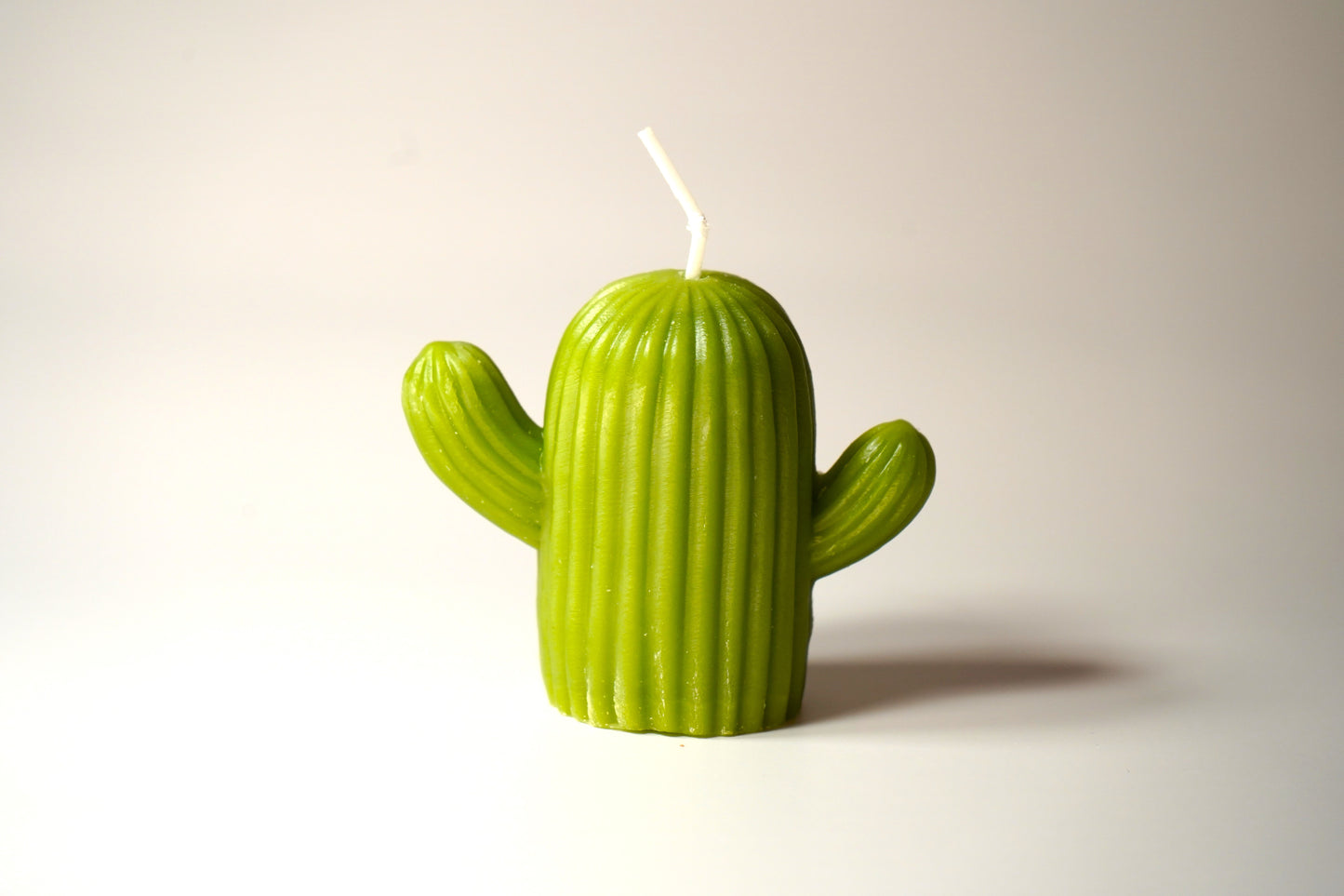 Cactus Candle