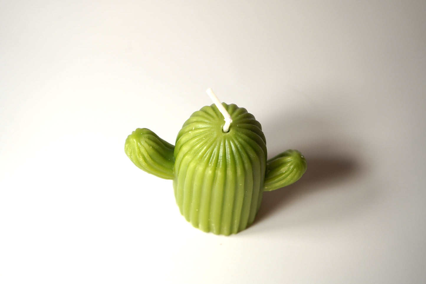 Cactus Candle