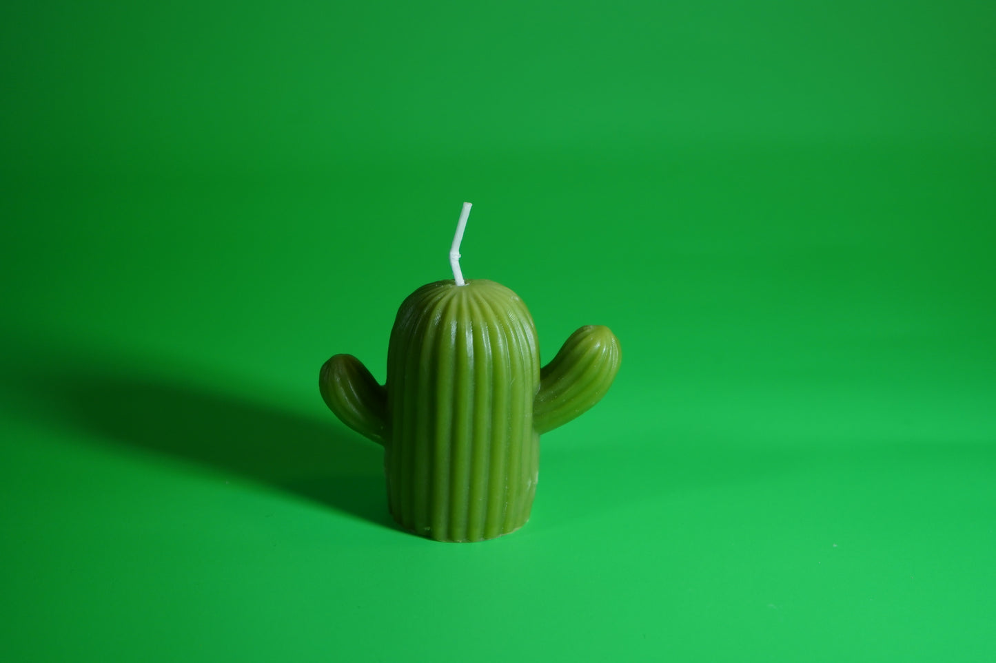 Cactus Candle