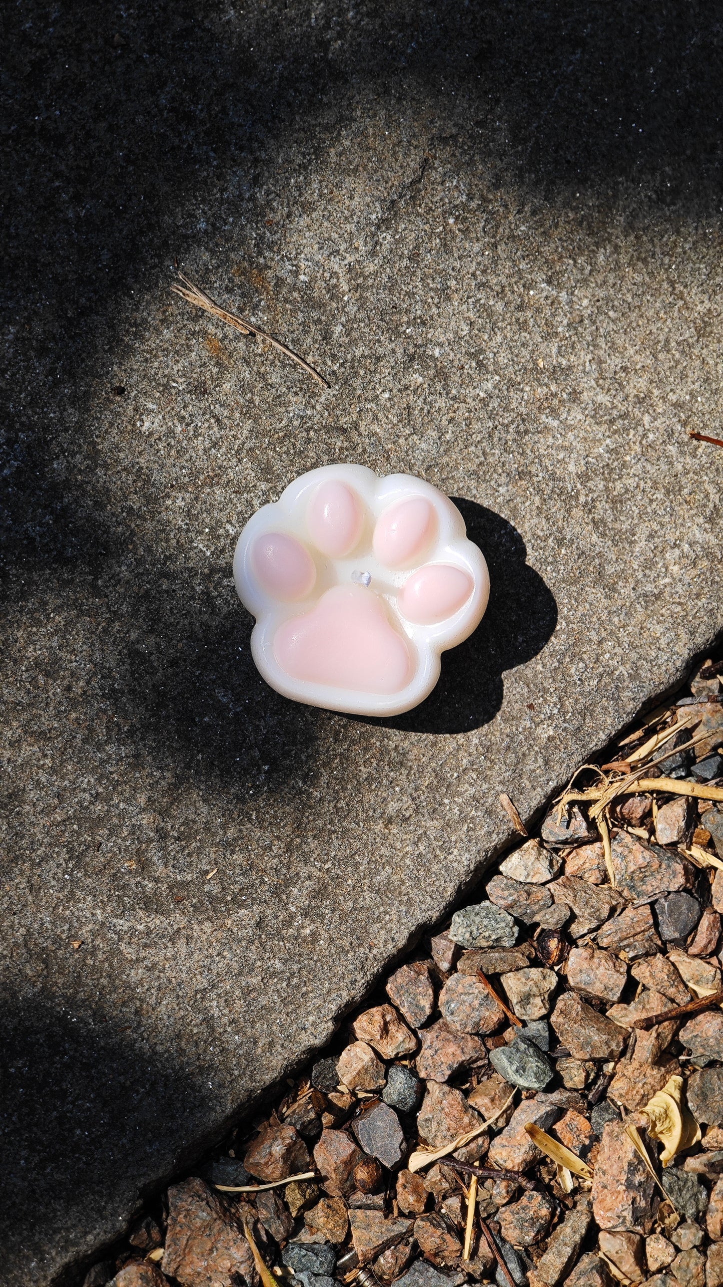Mini Paw