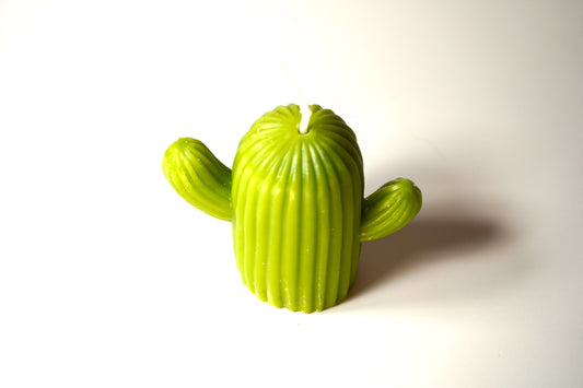 Cactus Candle